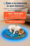 Tapete de Agua